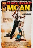 Black Snake Moan