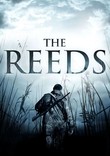 The Reeds